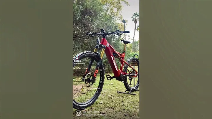 KTM Kapoho Macina Prestige | LaBosch